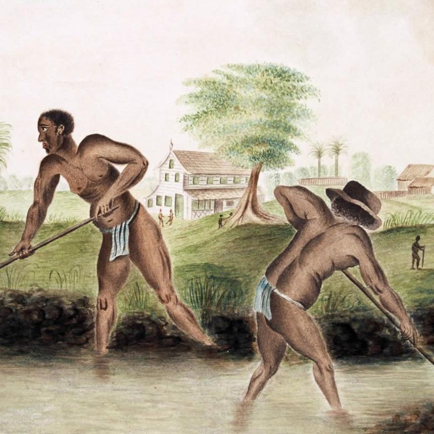 Esclaves creusant un canal en Guyane, fin XVIIIe siècle